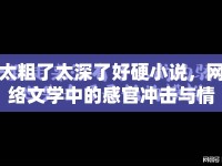 太粗了太深了好硬小說，網(wǎng)絡文學中的感官沖擊與情感共鳴