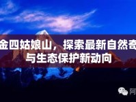 小金四姑娘山，探索最新自然奇觀與生態(tài)保護新動向