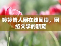 婷婷情人網(wǎng)在線閱讀，網(wǎng)絡(luò)文學(xué)的新寵