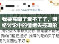 我要高嘲了受不了了，網(wǎng)絡(luò)討論中的情緒失控現(xiàn)象