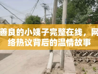 善良的小姨子完整在線，網(wǎng)絡熱議背后的溫情故事
