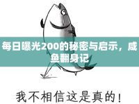 每日曝光200的秘密與啟示，咸魚翻身記