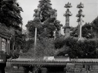 熱血江湖手游正弓絕技有多強(qiáng)？遠(yuǎn)程制敵竟能箭無(wú)虛發(fā)！