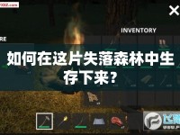 如何在這片失落森林中生存下來？