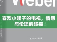 喜歡小姨子的電視，情感與倫理的碰撞