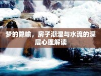 夢的隱喻，房子潮濕與水流的深層心理解讀