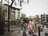 尋仙手游，靈力珠子究竟藏著怎樣的神秘之旅？