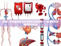 揭秘，手指破后血液為何有時(shí)顯得粘稠——科學(xué)解析血液凝固與粘度