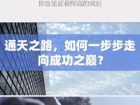 通天之路，如何一步步走向成功之巔？