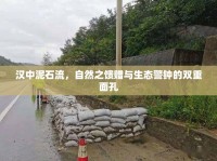 漢中泥石流，自然之饋贈(zèng)與生態(tài)警鐘的雙重面孔