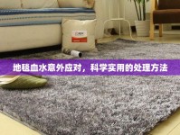 地毯血水意外應(yīng)對(duì)，科學(xué)實(shí)用的處理方法