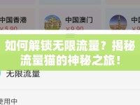 如何解鎖無(wú)限流量？揭秘流量貓的神秘之旅！