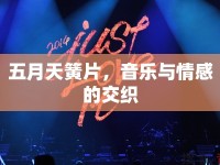 五月天簧片，音樂與情感的交織