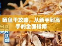 曬魚(yú)干攻略，從新手到高手的全面指南