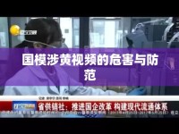 國模涉黃視頻的危害與防范