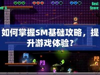 如何掌握SM基礎(chǔ)攻略，提升游戲體驗？