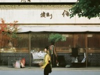 魔力寶貝回憶手游版，重溫經(jīng)典，再現(xiàn)魅力