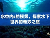 水中內s的視頻，探索水下世界的奇妙之旅