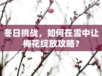 冬日挑戰(zhàn)，如何在雪中讓梅花綻放攻略？