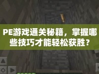 PE游戲通關秘籍，掌握哪些技巧才能輕松獲勝？