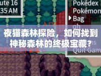 夜貓森林探險(xiǎn)，如何找到神秘森林的終極寶藏？