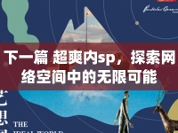 下一篇 超爽內(nèi)sp，探索網(wǎng)絡(luò)空間中的無限可能
