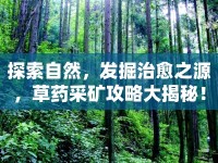 探索自然，發(fā)掘治愈之源，草藥采礦攻略大揭秘！