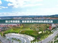 陽江市清道鎮(zhèn)，新發(fā)展浪潮中的綠色崛起之路