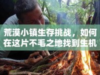 荒漠小鎮(zhèn)生存挑戰(zhàn)，如何在這片不毛之地找到生機(jī)？