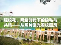 程校花，網(wǎng)絡(luò)時(shí)代下的隱私與共鳴——從照片曝光看校園風(fēng)尚的意外綻放