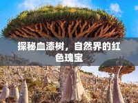 探秘血漆樹，自然界的紅色瑰寶
