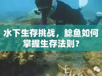 水下生存挑戰(zhàn)，鯰魚如何掌握生存法則？