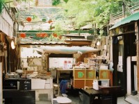 經典再臨！龍之谷手游回歸能否重現昔日榮光？，（解析，采用疑問句形式引發(fā)用戶好奇，經典再臨突出情懷，能否重現榮光制造懸念，吸引玩家點擊討論。）