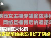 陜西女主播涉嫌偷盜事件，網(wǎng)絡(luò)直播背后的道德與法律風(fēng)險