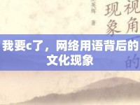我要c了，網(wǎng)絡(luò)用語(yǔ)背后的文化現(xiàn)象