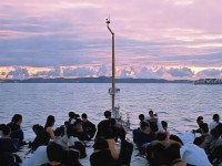 仙境傳說RO手游，寵物系統(tǒng)究竟如何助力你的冒險(xiǎn)之旅？