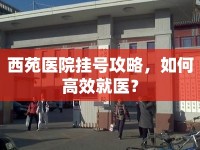 西苑醫(yī)院掛號(hào)攻略，如何高效就醫(yī)？