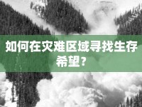 如何在災(zāi)難區(qū)域?qū)ふ疑嫦Ｍ? />									</div>
			</a>
			<div   id=