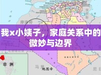 我x小姨子，家庭關(guān)系中的微妙與邊界