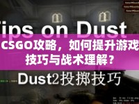 CSGO攻略，如何提升游戲技巧與戰(zhàn)術(shù)理解？