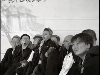 夢幻手游超級泡泡為何成為玩家心中的雙重困擾？
