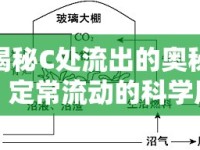 揭秘C處流出的奧秘，定常流動(dòng)的科學(xué)原理與應(yīng)用