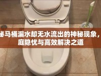 揭秘馬桶漏水卻無水流出的神秘現(xiàn)象，家庭隱憂與高效解決之道