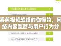 香蕉視頻超碰的你懂的，網(wǎng)絡(luò)內(nèi)容監(jiān)管與用戶行為分析