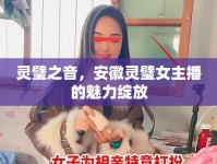 靈璧之音，安徽靈璧女主播的魅力綻放