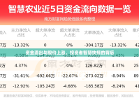 資金流出與股價上漲，投資者智慧抉擇的背后