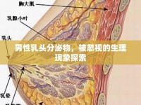 男性乳頭分泌物，被忽視的生理現象探索