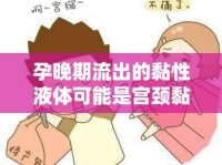 孕晚期流出的黏性液體可能是宮頸黏液或羊水，建議及時(shí)就醫(yī)進(jìn)行檢查，以確定是否為羊水破裂或?qū)m頸黏液栓脫落等異常情況。
