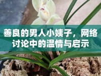 善良的男人小姨子，網(wǎng)絡(luò)討論中的溫情與啟示