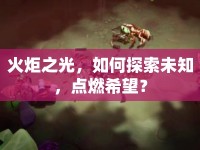 火炬之光，如何探索未知，點(diǎn)燃希望？